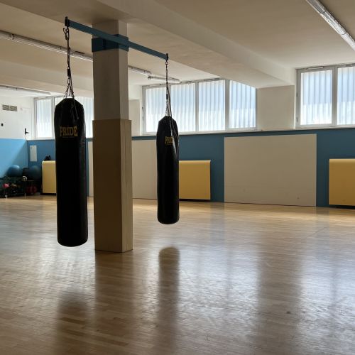 Kodeljevo Multipurpose Hall