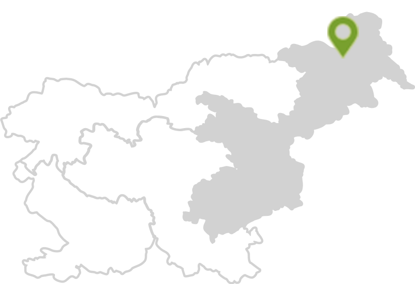 Termalna Panonska Slovenija