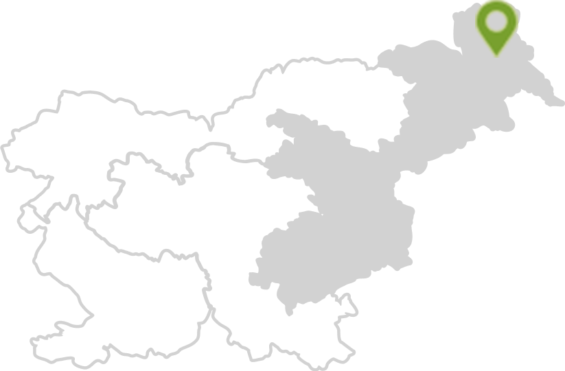 Termalna Panonska Slovenija