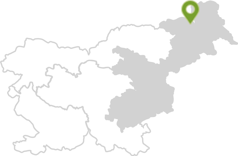 Termalna Panonska Slovenija