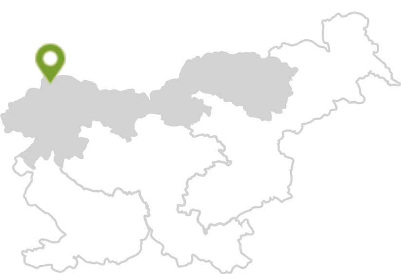Alpine Slovenia