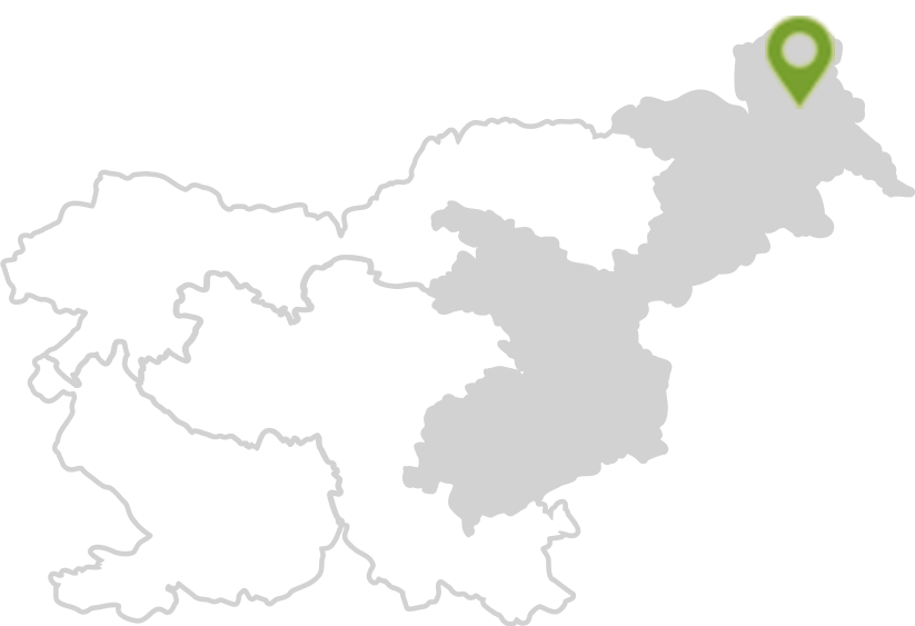 Termalna Panonska Slovenija