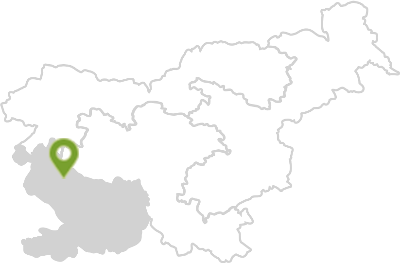 Mediteranska & Kraška Slovenija