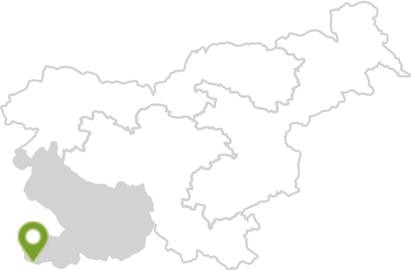 Mediterranean & Karst Slovenia