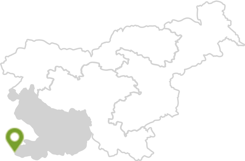 Mediterranean & Karst Slovenia