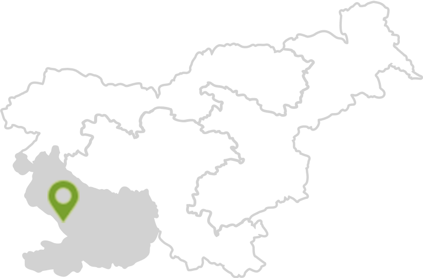 Mediterranean & Karst Slovenia