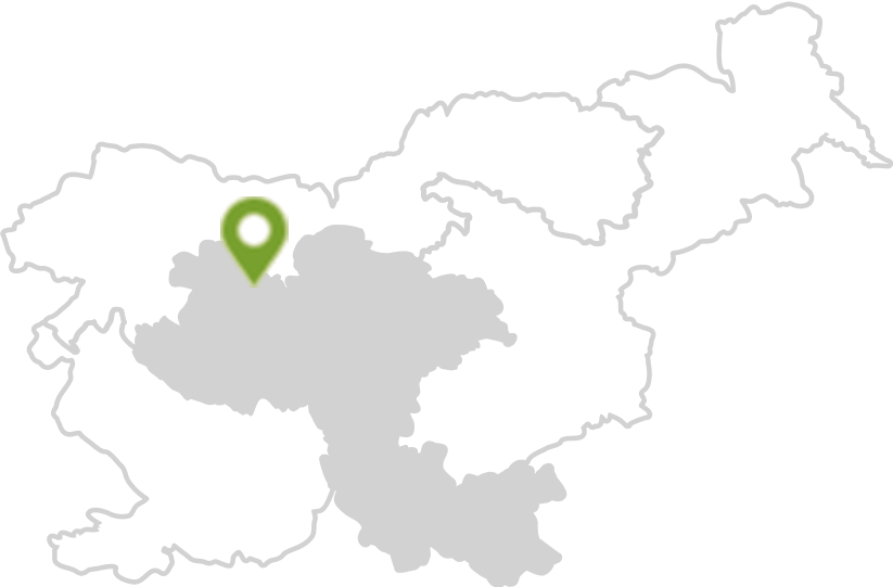 Ljubljana & Central Slovenia